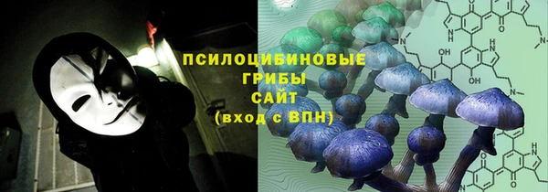 ECSTASY Лагань