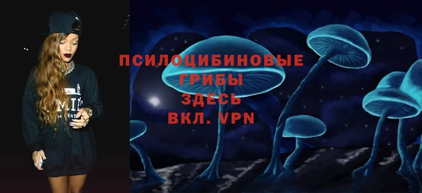 ECSTASY Лагань