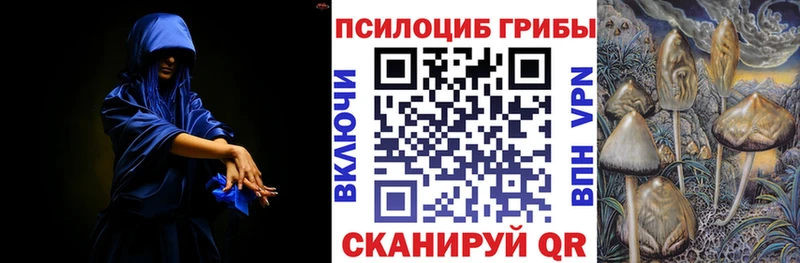 где купить наркотик Сенгилей Галлюциногенные грибы ЛСД